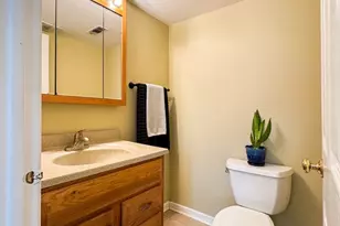 15801 Orlan Brook Dr, Orland Park, IL 60462 - Photo 11