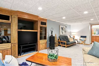 127 Michelle Place, Schaumburg, IL 60173 - Photo 49