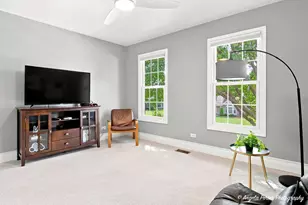 127 Michelle Pl, Schaumburg, IL 60173 - Photo 47