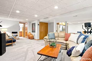 127 Michelle Pl, Schaumburg, IL 60173 - Photo 53