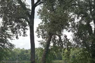 21244 W Hwy 113 Hwy, Custer Park, IL 60481 - Photo 21