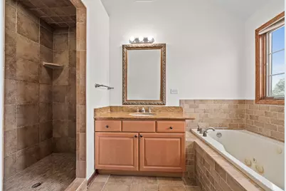24340 S Pine Ridge Drive, Monee, IL 60449 - Photo 29