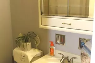 1233 W 110th Pl, Chicago, IL 60643 - Photo 13