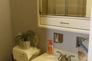 1233 W 110th Pl, Chicago, IL 60643 - Photo 13