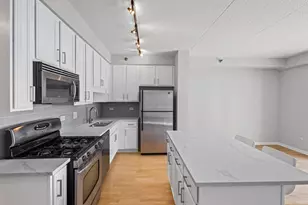 1250 S Indiana Ave, Chicago, IL 60605 - Photo 9