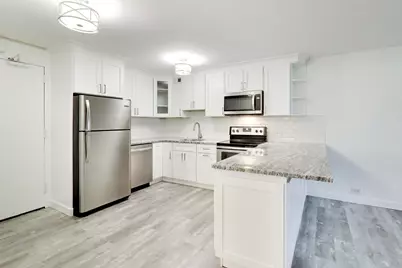 4250 N Marine Drive #2505, Chicago, IL 60613 - Photo 3