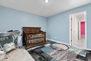 25761 W Springside St, Plainfield, IL 60586 - Photo 23