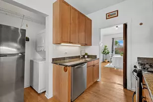 240 S Maple Ave, Oak Park, IL 60302 - Photo 15