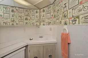 516 S Main St, Mount Prospect, IL 60056 - Photo 15