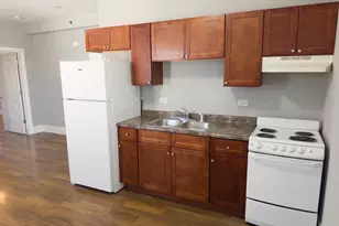 113 N Hickory St, Joliet, IL 60435 - Photo 3