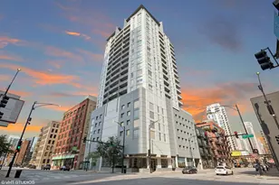 330 W Grand Ave, Chicago, IL 60654 - Photo 23