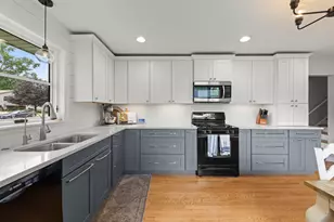 N457 Papworth St, Wheaton, IL 60187 - Photo 11