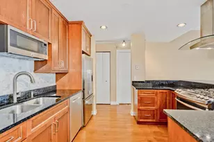 559 W Surf St, Chicago, IL 60657 - Photo 11