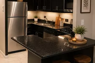 1 E Scott St, Chicago, IL 60610 - Photo 3