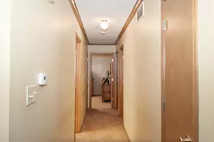 401 N West St, Odell, IL 60460 - Photo 11