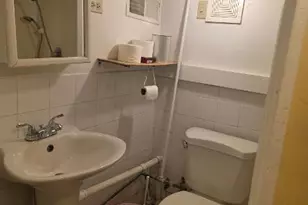 3341 S Hamilton Ave, Chicago, IL 60608 - Photo 15