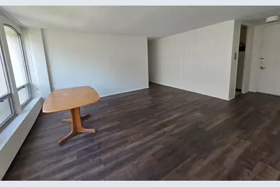 1450 E 55th Place #719S, Chicago, IL 60637 - Photo 7