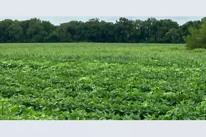 000 Pilgrim Road, Dixon, IL 61021 - Photo 9