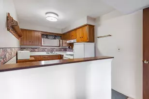 339 N Hale St, Palatine, IL 60067 - Photo 15