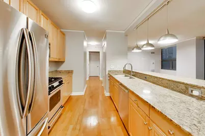 201 N Westshore Drive #407, Chicago, IL 60601 - Photo 15