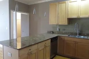633 E Bowen Ave, Chicago, IL 60653 - Photo 7