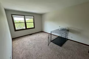 1013 E Benton Ave, Naperville, IL 60540 - Photo 11