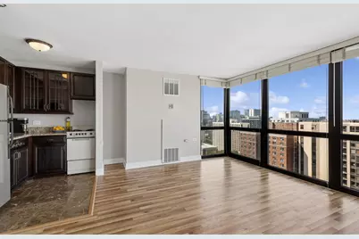 1122 N Clark Street #2102, Chicago, IL 60610 - Photo 11