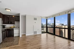 1122 N Clark St, Chicago, IL 60610 - Photo 11