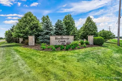 1075 Robinson Street, Elburn, IL 60119 - Photo 51