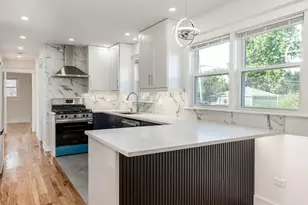 235 W 43rd St, Chicago, IL 60609 - Photo 19