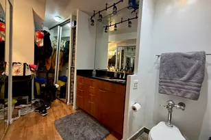 300 N State St, Chicago, IL 60654 - Photo 9