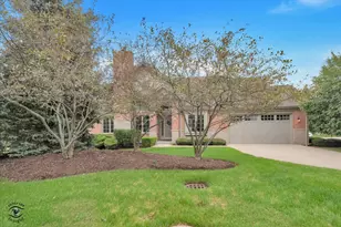 20400 Mackinac Point Dr, Frankfort, IL 60423 - Photo 3