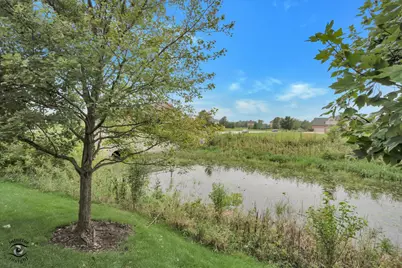 20400 Mackinac Point Drive, Frankfort, IL 60423 - Photo 45