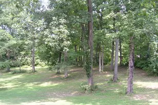 485 Hensley Hills Dr, Vienna, IL 62995 - Photo 13