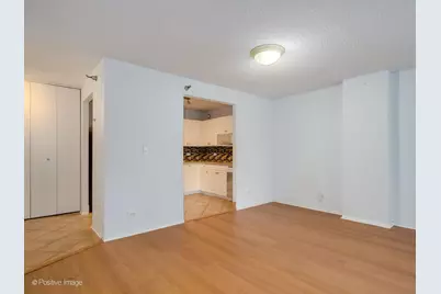 70 W Huron Street #605, Chicago, IL 60654 - Photo 11
