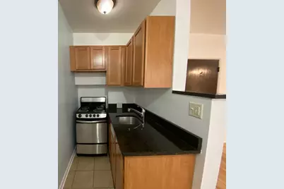 1332 W Hood Avenue #304, Chicago, IL 60660 - Photo 5