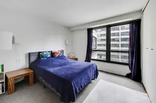 5050 S East End Ave, Chicago, IL 60615 - Photo 15