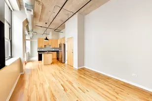 758 N Larrabee St, Chicago, IL 60654 - Photo 9