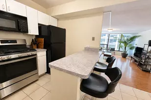230 E Ontario St, Chicago, IL 60611 - Photo 11