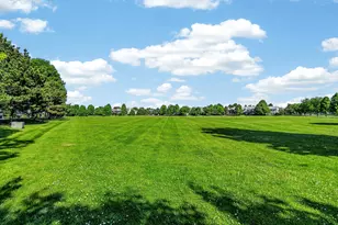 24038 W Walnut Circle, Plainfield, IL 60585 - Photo 27