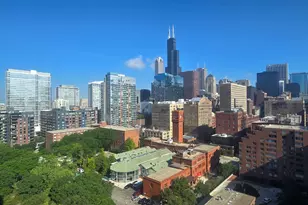 899 S Plymouth Ct, Chicago, IL 60605 - Photo 13