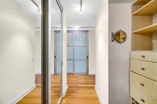 899 S Plymouth Ct, Chicago, IL 60605 - Photo 19