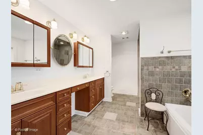 217 S Summit Street, Wheaton, IL 60187 - Photo 21