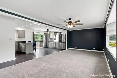 430 Shagbark Lane, Lindenhurst, IL 60046 - Photo 9