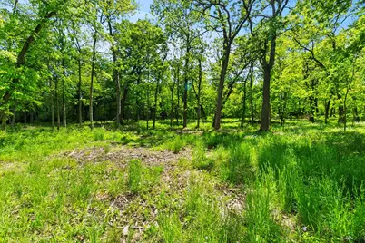 26359 N Hickory Road, Mundelein, IL 60060 - Photo 5