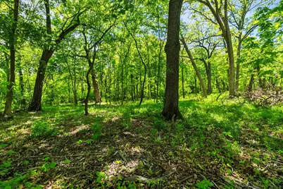 26359 N Hickory Road, Mundelein, IL 60060 - Photo 7