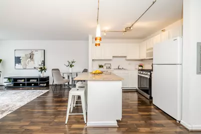 545 N Dearborn Street #W1409, Chicago, IL 60654 - Photo 23