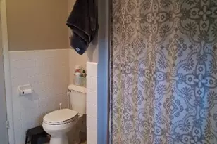 503 S King St, Wyanet, IL 61379 - Photo 21