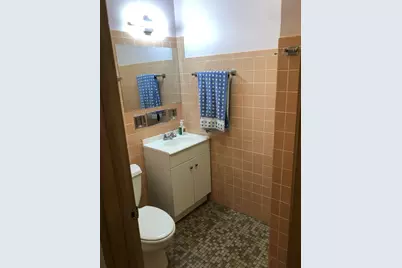 8600 S Kildare Avenue, Chicago, IL 60652 - Photo 31