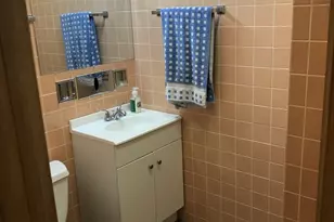 8600 S Kildare Ave, Chicago, IL 60652 - Photo 31